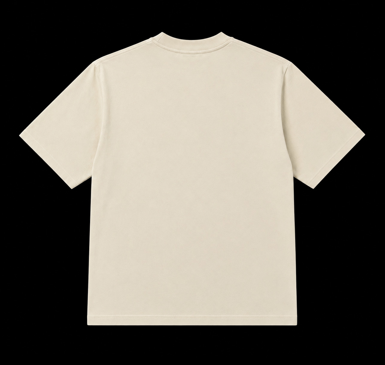 RARE---camiseta-oversize-arena-back